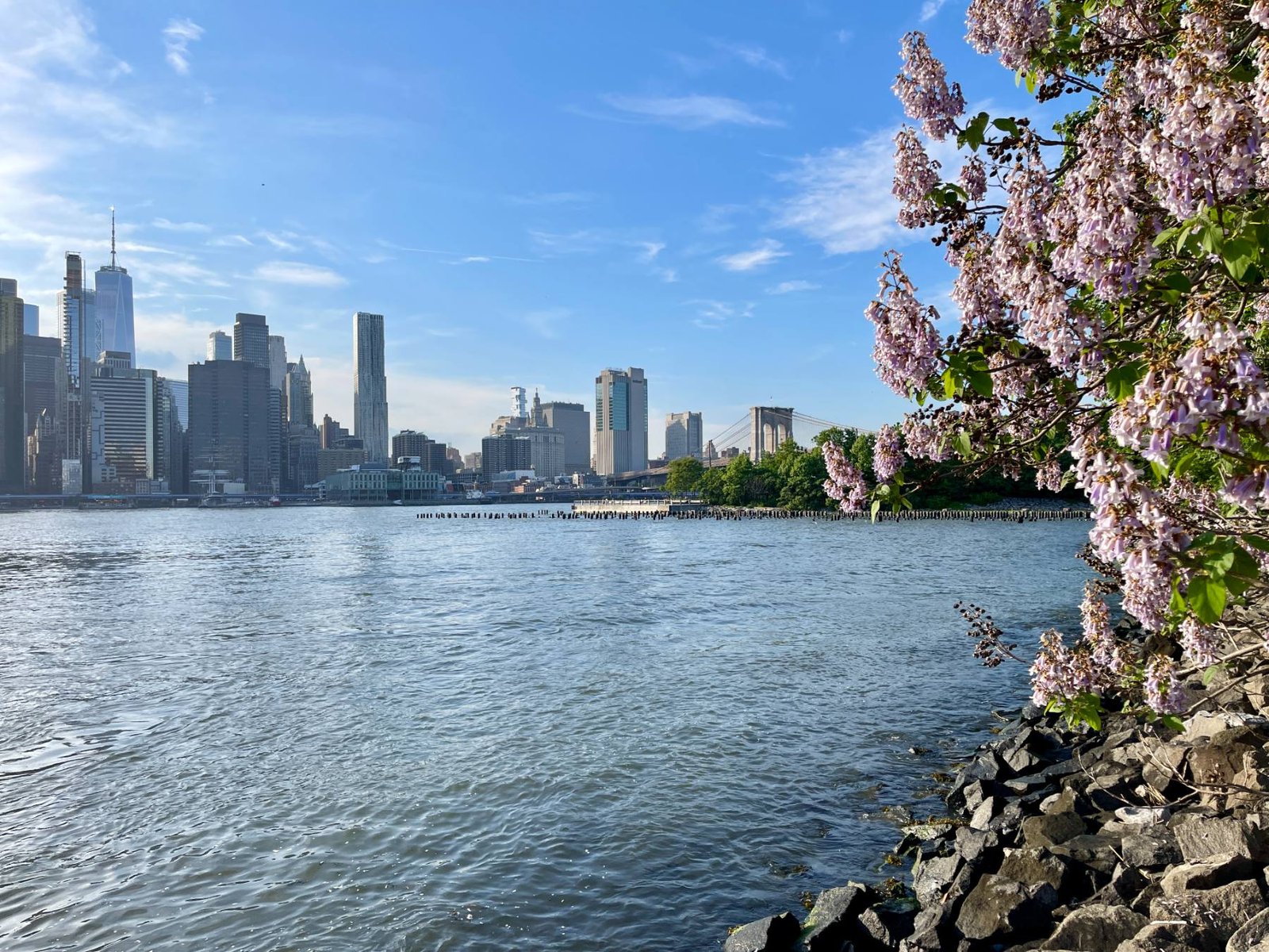 Nueva York